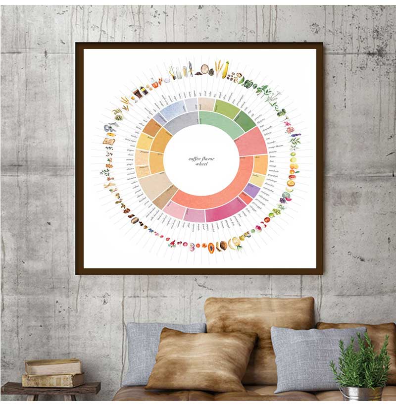Guía de rueda de sabor de café - Sustainable Living Guide reseña y precio